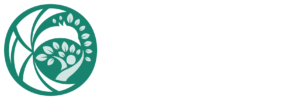 Phoenix Experiences